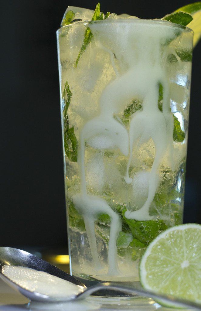 Macho-Mojito-Createspace-662x1024